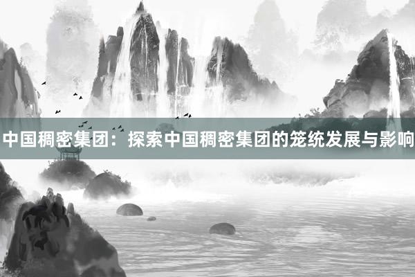 中国稠密集团：探索中国稠密集团的笼统发展与影响
